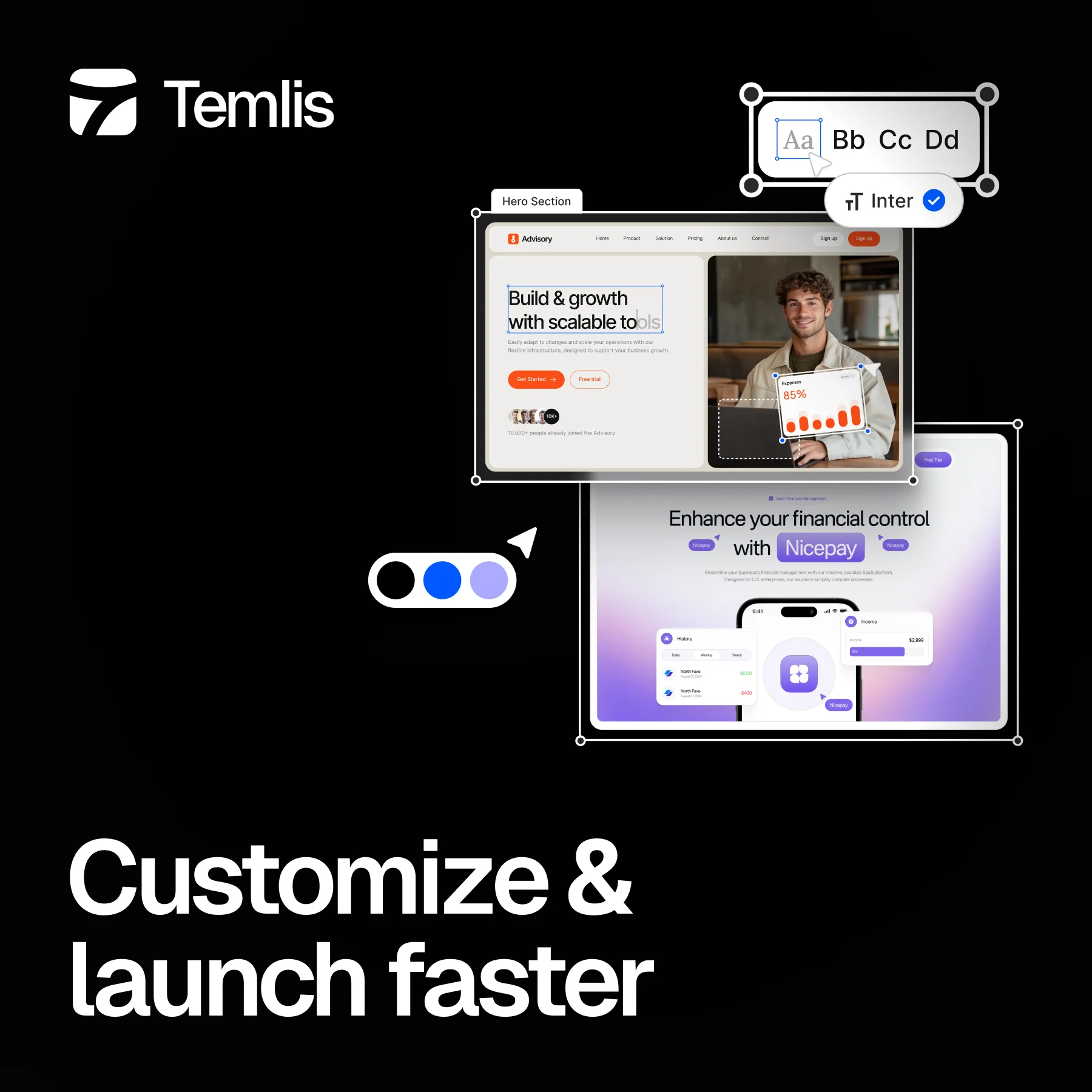 Temlis Webflow template customization preview