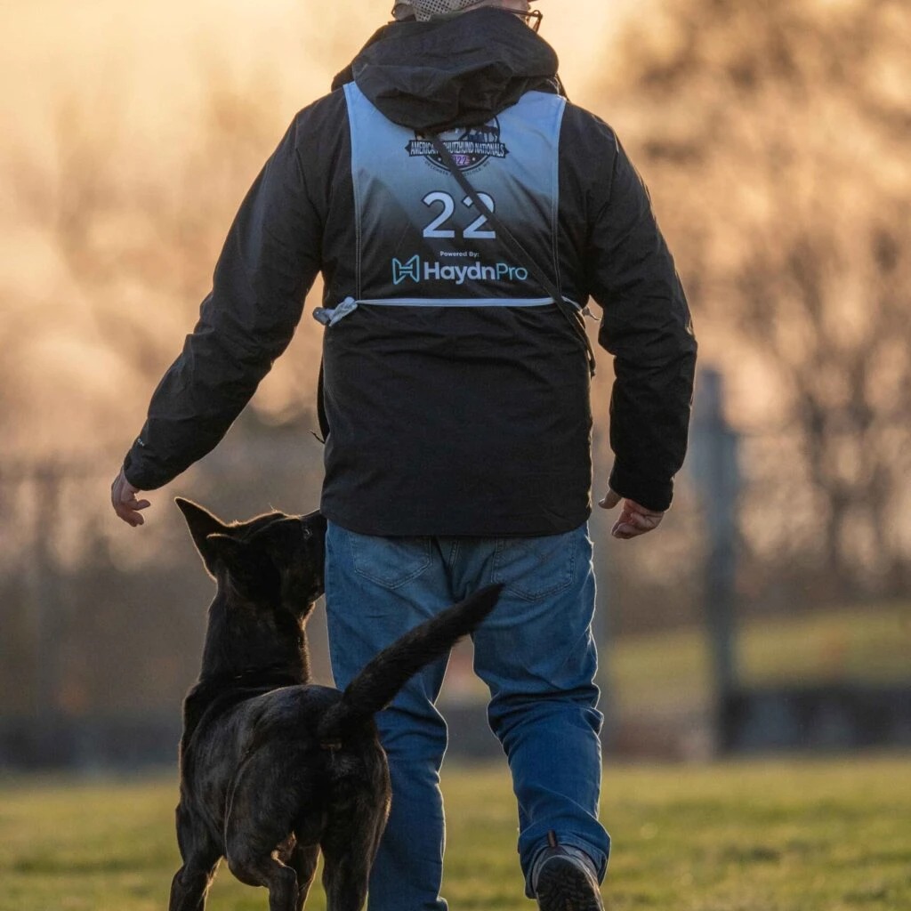 HaydnDigitalMarketing