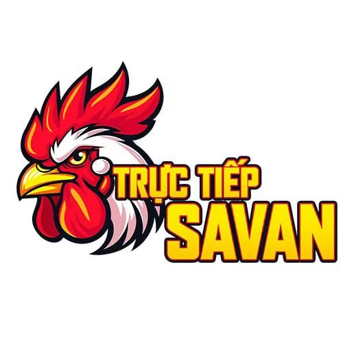 Đá Gà Trực Tiếp Savan