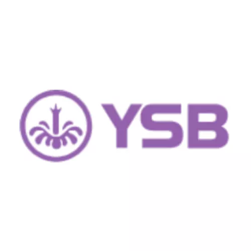YSB66