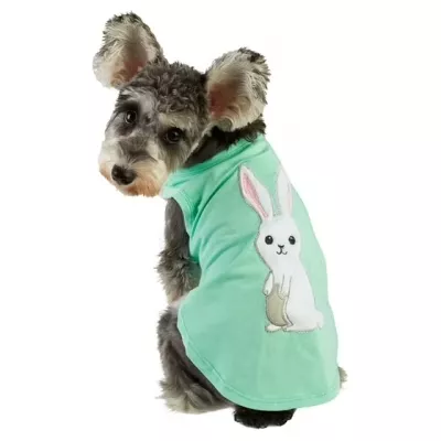 Dog Clothing