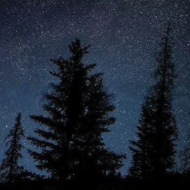 Talk to strangers on Voidchat