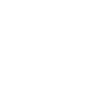HDMotion