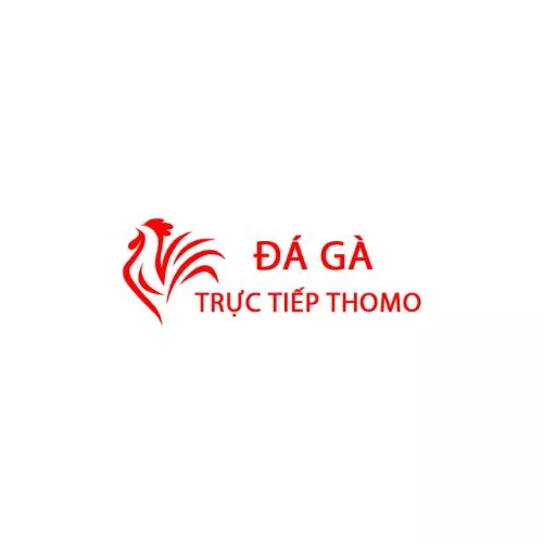 Đá Gà Trực Tiếp Thomo Hôm Nay
