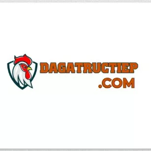 Đá gà trực tiếp