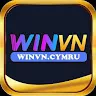 winvn