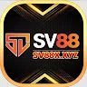 sv88x xyz