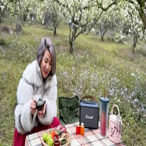 CEO Hoàng Dương Tú Loan