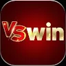 VSWIN