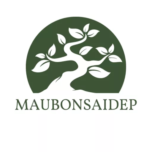 Mẫu Bonsai Đẹp