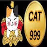 Cat999 dev