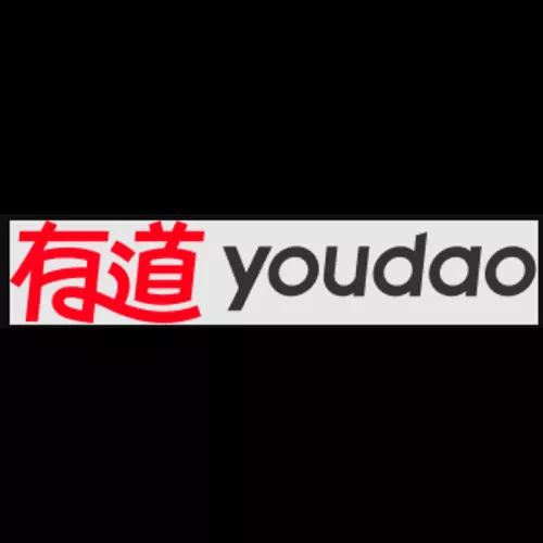 youdaoyd translation