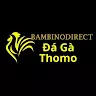 Đá Gà Trực Tiếp Thomo