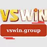 vswin group
