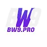 BW9 Pro