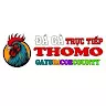 TRỰC TIẾP ĐÁ GÀ THOMO