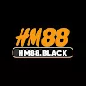 HM88
