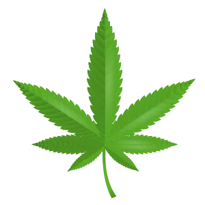 wellbutrin and marijuana