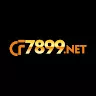 CF7899 Net