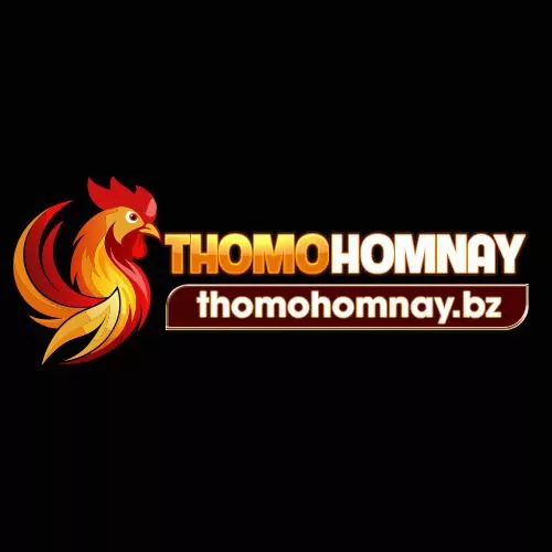 Thomo hôm nay – Trang xem đá gà, web đá gà trực tiếp uy tín