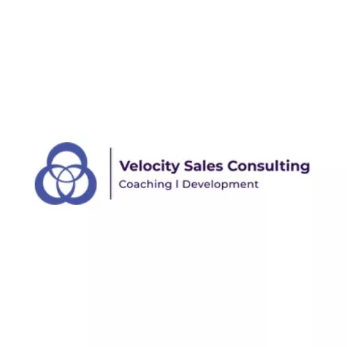 Velocity Sales Consulting