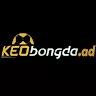 Kèo Bóng Đá Chiến Lược Soi Kèo Chuẩn Từ Chuyên Gia