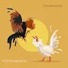 thomohomnay ĐÁ GÀ TRỰC TIẾP