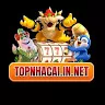 Topnhacaiin Net
