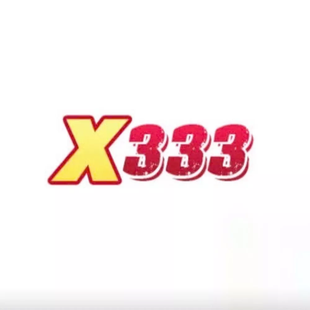 X 333