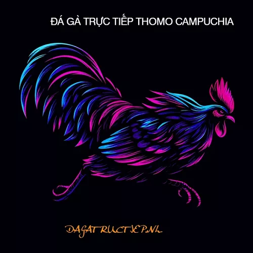 ĐÁ GÀ TRỰC TIẾP THOMO CAMPUCHIA Full HD HÔM NAY