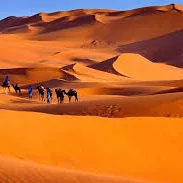 Morocco Desert Tour