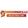 Đá Gà Trực Tiếp ThoMoHomNay