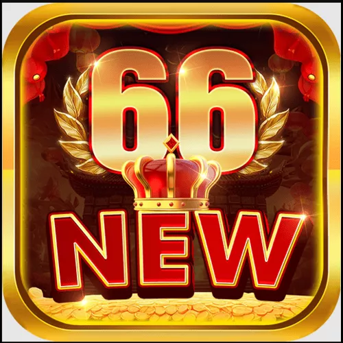 new 66