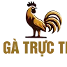 ĐÁ GÀ TRỰC TIẾP