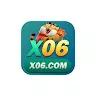 x06