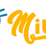 mitomtvnl