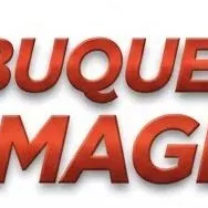 Albuquerque Damage Pros