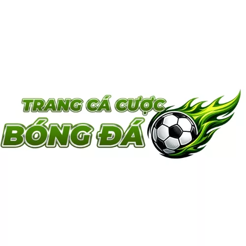 Trang Cá Cược Bóng Đá