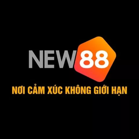 NEW88 Cổng Giải Trí Trực Tuyến Hiện Đại Và Đa Dạng