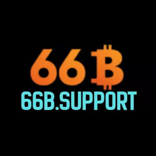 66B Support