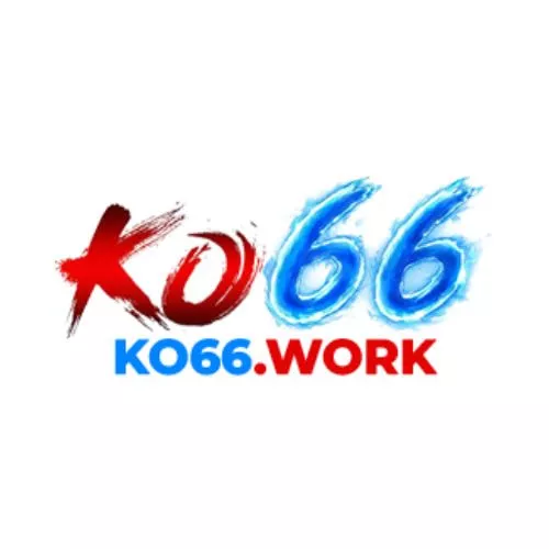 ko66work