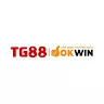 tg88 africa