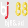 Bj88ad1vn