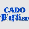 cadobongdabid1vn