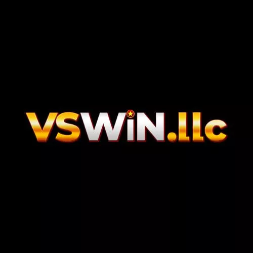 VSWin LLC