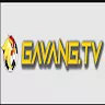 gavangtvglobal1vn