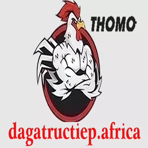 ĐÁ GÀ TRỰC TIẾP AFRICA
