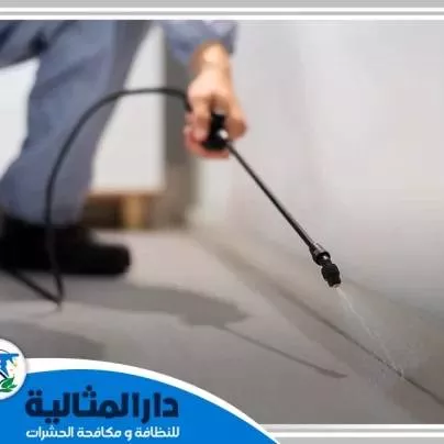 Abdo Kamel