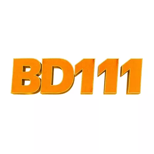 BD111 Game