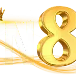 XIN88